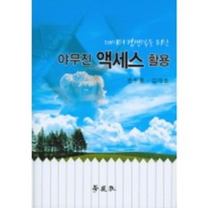 데이터 경쟁력을 위한 야무진 액세스 활용, 학현사
