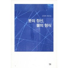 釘之精神 水之形式：金良憲評論集, 展望, 金良憲 著