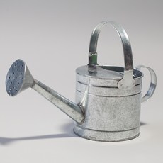 엠디자인 양철 물뿌리개 20cm, 1개