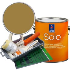 셔윈윌리암스 솔로 저광 페인트 세트, SW6404 Grandiose, 1개