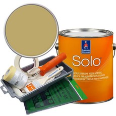 셔윈윌리암스 솔로 저광 페인트 세트, SW6416 Sassy Green, 1개