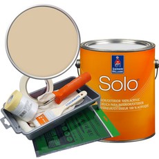 셔윈윌리암스 솔로 저광 페인트 세트, SW6120 Believable Buff, 1개