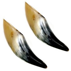 헬스플러스 오리지널뿔 괄사 BJ-001B, 2개입, 혼합 색상