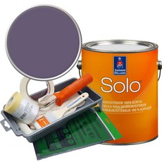 셔윈윌리암스 솔로 저광 페인트 세트, SW6558 Plummy, 1개