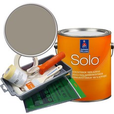 셔윈윌리암스 솔로 저광 1L 페인트 세트, SW9171 Felted Wool, 1개