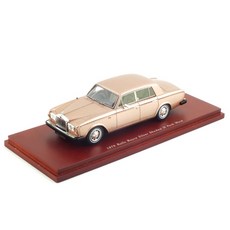 TRUE SCALE複製品1/43 Rolls-Royce Silver Shadow II Park Ward 1979模型汽車, 混色
