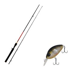 Apice Fire Storm浴缸擬餌釣竿 C662M+Damiki DC-100硬餌擬餌 55mm305H SUN FISH, 1套