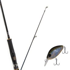 Won Da Avalon捲線式擬餌釣竿 602M+Damiki DC-100硬餌擬餌 55mm306T BLUE CRAW, 1套