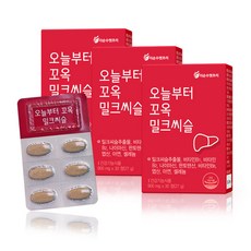 더순수렛츠미 오늘부터 꼬옥 밀크씨슬, 3박스, 30정