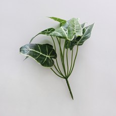 BLOOMING&ME 綠色家居園藝人工海芋2p套組, 混色