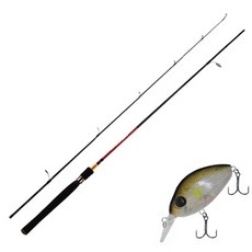 Apis Firestorm 鱸魚路亞釣竿 S662ML + Damiki DC-200 硬餌路亞 55mm 304H SP AYU, 1套