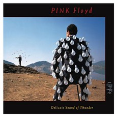 핑크 플로이드 - DELICATE SOUND OF THUNDER LIVE 리마스터 US, 2CD