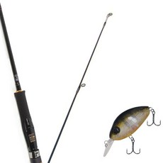 Won Da Avalon捲線器擬餌釣竿 602ML+Damiki DC-200硬餌擬餌 55mm 305H SUN FISH, 1套