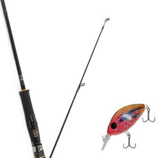 Won Da Avalon捲線式擬餌釣竿 662M+Damiki DC-200硬餌擬餌 55mm 216H APACHE, 1套