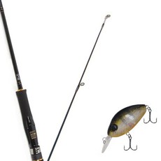 Won Da Avalon捲線器擬餌釣竿 662M+Damiki DC-200硬餌擬餌 55mm 305H SUN FISH, 1套