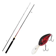 APIS Fire Storm 鱸魚路亞釣竿 S662ML + DAMIKI DC-300 硬餌路亞 55mm 307D RED CRAW, 1套