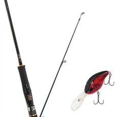 Won Da Avalon捲線式擬餌釣竿 602M+Damiki DC-300硬餌擬餌 55mm 307D RED CRAW, 1套