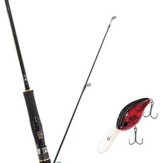 Won Da Avalon捲線式擬餌釣竿 662ML+Damiki DC-300硬餌擬餌 55mm 307D RED CRAW, 1套