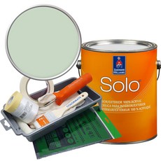 셔윈윌리암스 솔로 저광 1L 페인트 세트, SW6449 Topiary Tint, 1개