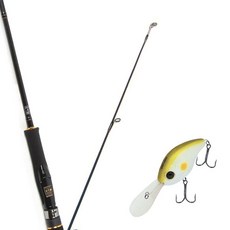 Won Da Avalon捲線式擬餌釣竿 602ML+Damiki DC-300硬餌擬餌 55mm 005 AYU, 1套