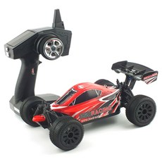 레프리카 1/16 4WD Brushed Buggy 2.4GHz 아날로그조종기 RTR RC카 BSD703005RTR BS311T, 혼합 색상, 1개
