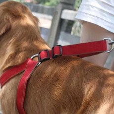 APRIL16 強韌基本款寵物胸背帶 2號, 紅色 + 黑色, 1個