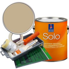 셔윈윌리암스 솔로 저광 1L 페인트 세트, SW9121 Sawgrass Basket, 1개