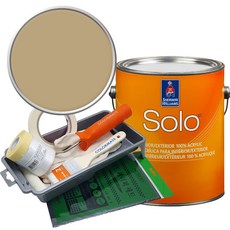 셔윈윌리암스 솔로 저광 1L 페인트 세트, SW9118 Tarnished Treasure, 1개