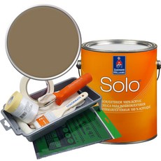 셔윈윌리암스 솔로 저광 1L 페인트 세트, SW9124 Verde Marron, 1개