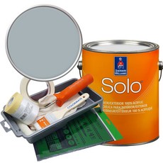 셔윈윌리암스 솔로 저광 페인트 세트, SW9138 Stardew, 1개