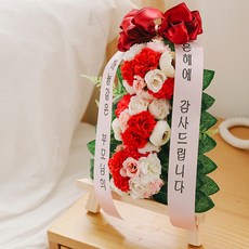 아스파시아 콩그레츄레이션 카네이션 미니화환 레드 하늘같은 부모님의 은혜에 감사합니다