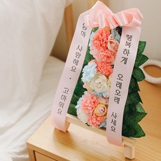 아스파시아 콩그레츄레이션 카네이션 미니화환 핑크 엄마 사랑해요 고마워요 행복하게 오래오래 사세요