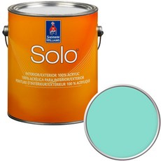 셔윈윌리암스 솔로 저광 페인트 1L, SW6937 Tantalizing Teal, 1개