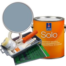 셔윈윌리암스 솔로 저광 페인트 세트, SW9151 Daphne, 1개