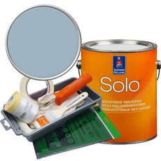 셔윈윌리암스 솔로 저광 페인트 세트, SW9146 Faded Flaxflower, 1개