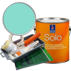 셔윈윌리암스 솔로 저광 페인트 세트, SW6937 Tantalizing Teal, 1개