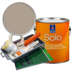 셔윈윌리암스 솔로 저광 페인트 1L 세트, SW7633 Taupe Tone, 1개