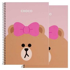 라인프렌즈 연습장, 초코, 2개입