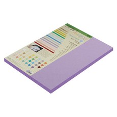 paperculture 環保色紙 彩虹卡 No.21 紫色, B4, 30張