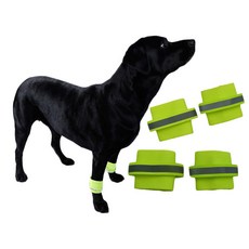 아리코 Dr.Mini 반려동물 반사광 야간산책 안전 발찌 S, 형광색, 2개