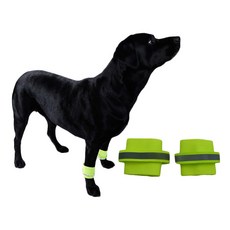 아리코 Dr.Mini 반려동물 반사광 야간산책 안전 발찌 L, 형광색, 1개