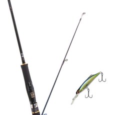 Won Da Avalon捲線器擬餌釣竿 662M+Damiki SOKILL 55硬餌擬餌 311H NATURAL LIST, 1套