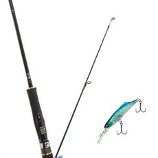 Won Da Avalon捲線器擬餌釣竿 662M+Damiki SOKILL 55硬餌擬餌 226H GHOST, 1套