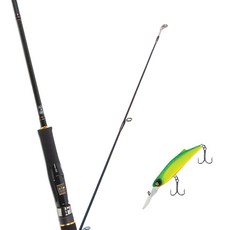 Won Da Avalon捲線器擬餌釣竿 662ML+Damiki SOKILL 55硬餌擬餌 206D MAT TIGER, 1套