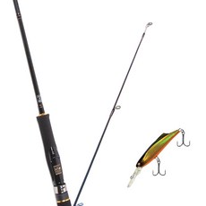 Won Da Avalon捲線器擬餌釣竿 662ML+Damiki SOKILL 55硬餌擬餌 236H 黑色金色Holo, 1套