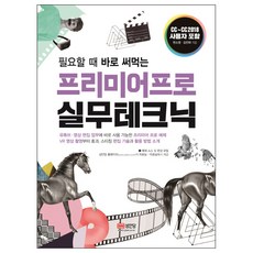 隨學即用Premiere Pro實務技巧：, 成安堂