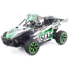레프리카 2.4GHz 1/18 4WD Buggy 최고속도 20km/h RTR RC 카 ZC358154GR, 혼합 색상, 1개