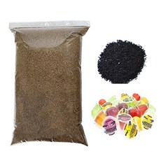 벅스킹덤 사슴벌레 대용량 실속팩 세트, 1세트