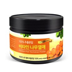 닥터루트 비타민 나무열매 추출 분말, 200g, 1개