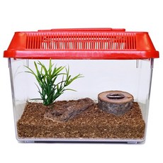 벅스킹덤 사슴벌레 초급자 사육세트 레드, 1세트